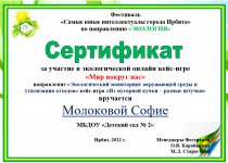 Сертификат Молоковой С.
