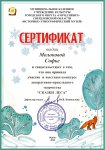 Сертификат Молоковой Софье