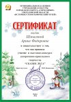 Сертификат Шмыгиной Арине