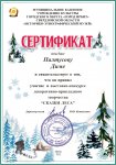Сертификат Палтусову Диме