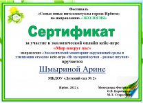 Сертификат Шмыриной А.