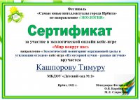 Сертификат Кашпорову Т.